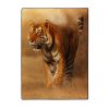 SAVANNA TIGER